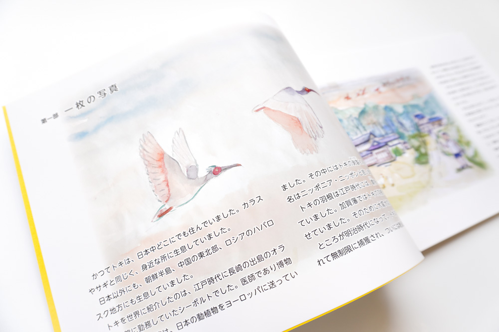 のとの大空にトキが舞う
